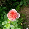 IMG_20160526_180343