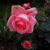 IMG_20160526_180626