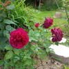 IMG_20160526_180818