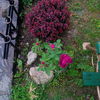 IMG_20160526_191846