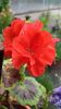 20160527_072239