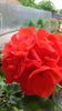 20160527_072251