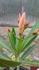 20160527_072424