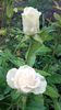 20160527_072550
