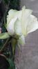 20160527_072646