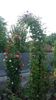 20160524_072039