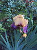 DSC01955