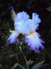DSC01970
