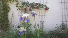 WP_20160521_020