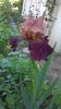 WP_20160521_022