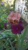 WP_20160521_024