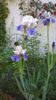 WP_20160521_025