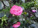 20160525_200457[1]