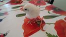 IMG_20160506_194721572