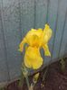 20160527_174214