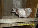 FB_IMG_1464367947569