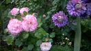 WP_20160527_081