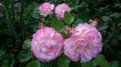 WP_20160527_085