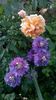 WP_20160527_088