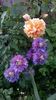 WP_20160527_089