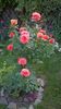 WP_20160527_094