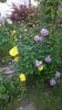 WP_20160527_099
