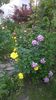 WP_20160527_100