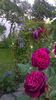 WP_20160527_101