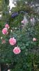 WP_20160527_107