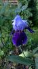 WP_20160526_034