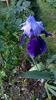 WP_20160526_036