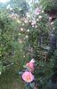 DSC02199