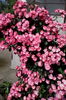 IMG_20160528_100457