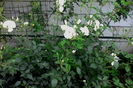 IMG_20160528_101419
