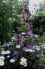 IMG_20160528_101036