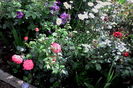 IMG_20160528_101003