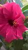 WP_20160520_08_20_42_Pro