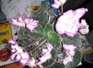 IMG_20160528_134739