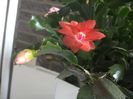 WIN_20160528_125220
