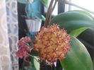20160528_160240