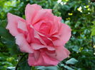 DSCN9708