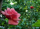 DSCN9709
