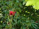 DSCN9710
