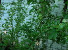 DSCN9711