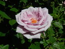 DSCN9749