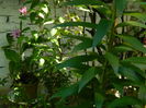 DSCN9770