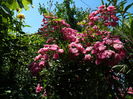 DSCN9771