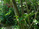 DSCN9772