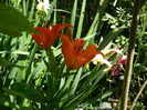 DSCN9780