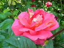 DSCN9786